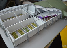 Model Greenhouse at the Sprung booth